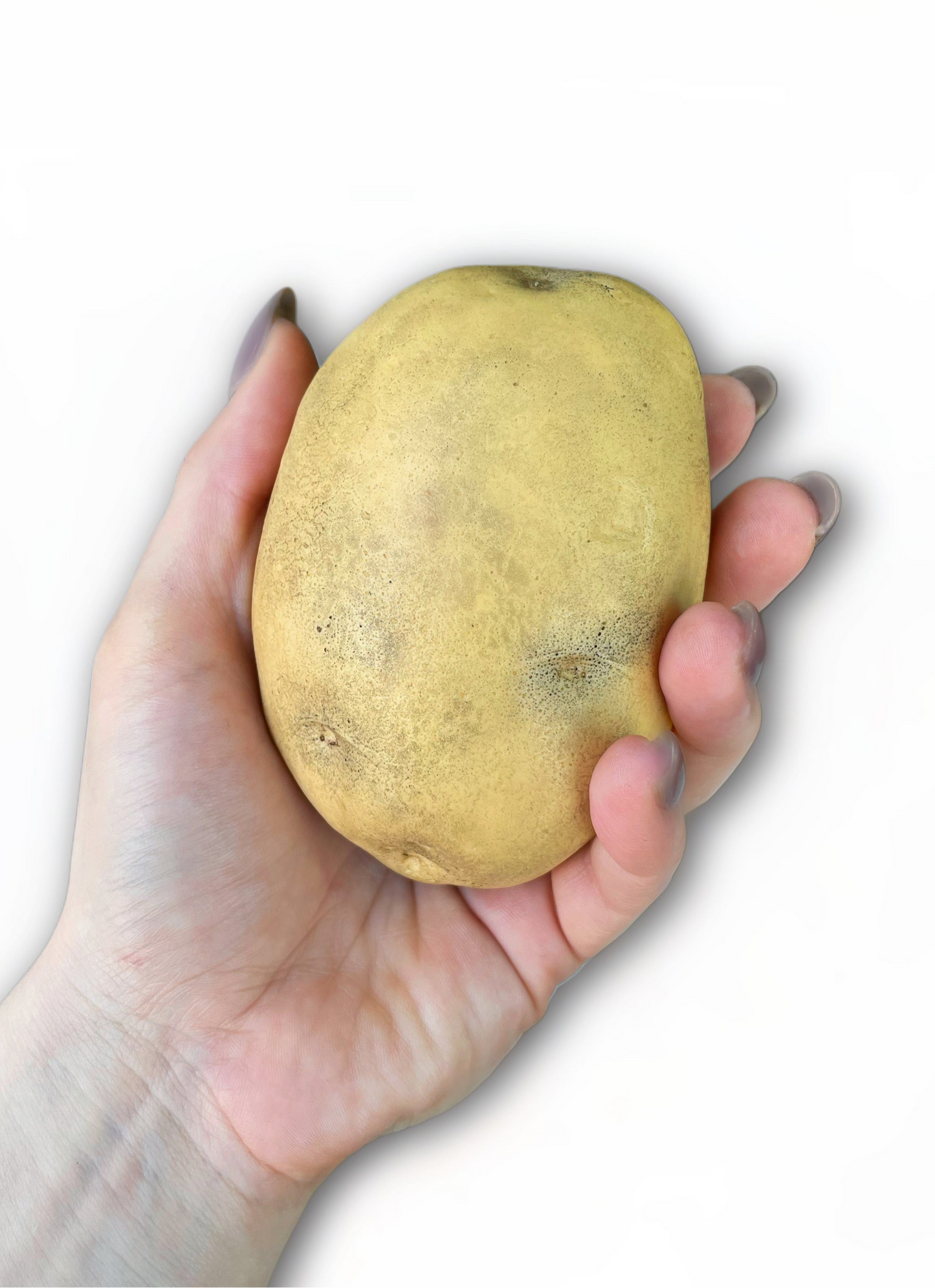 Hyperrealistic Potato Soap Bar - Potato Gag Gift