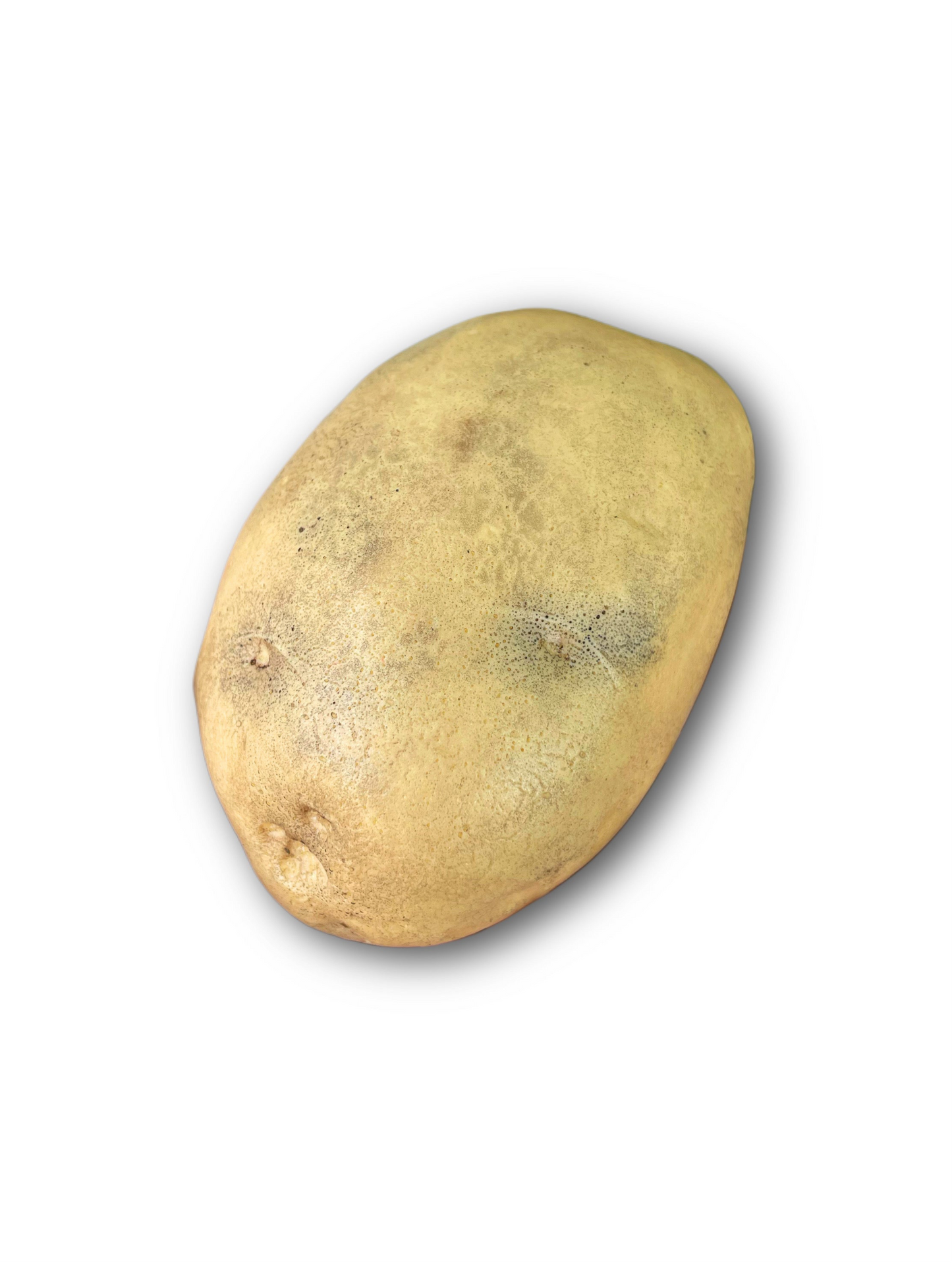 Hyperrealistic Potato Soap Bar - Potato Gag Gift