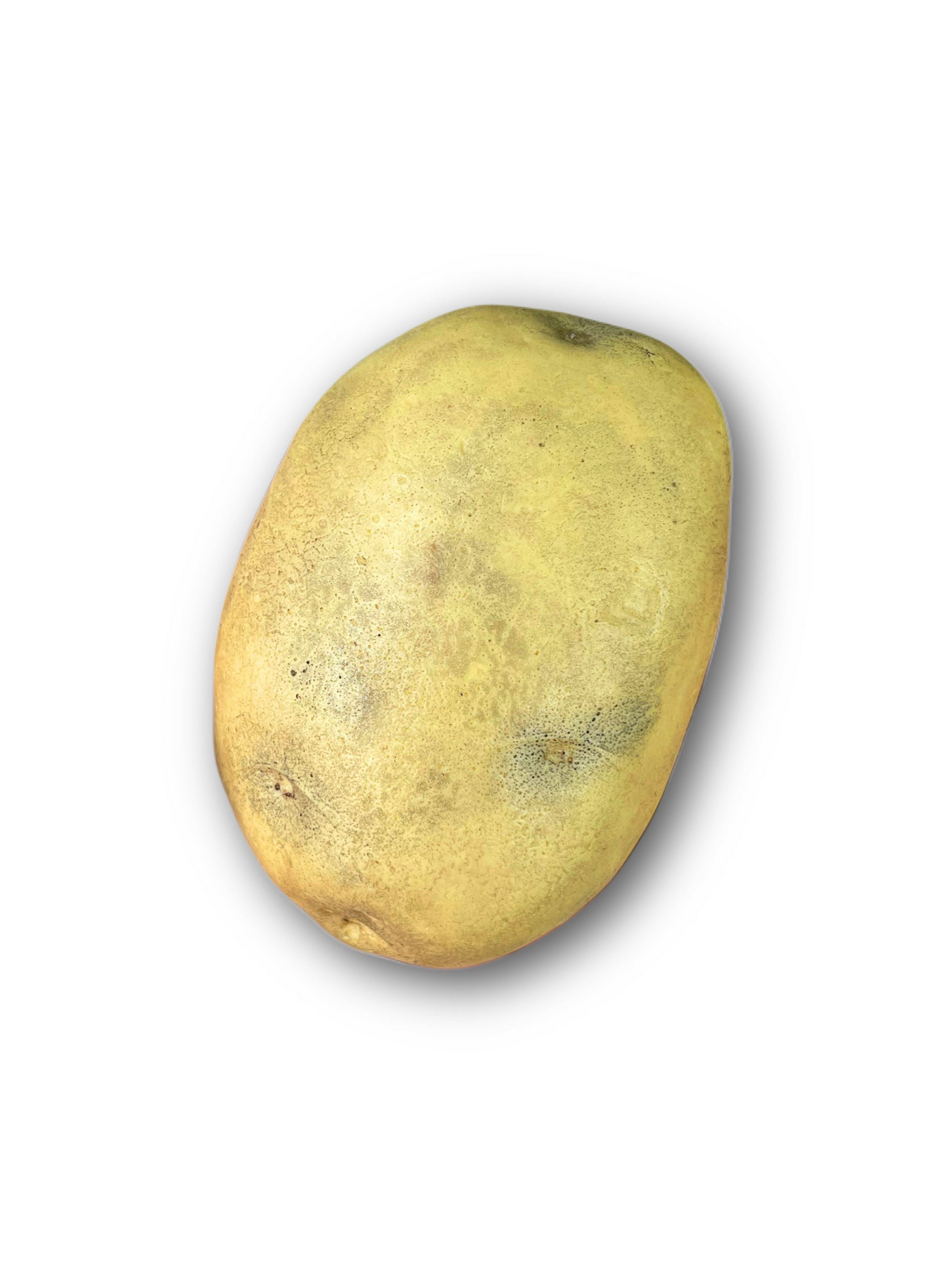 Hyperrealistic Potato Soap Bar - Potato Gag Gift