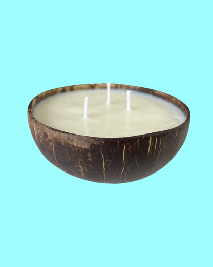 Coconut Shell Candle