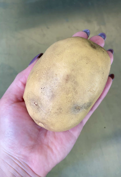 Hyperrealistic Potato Soap Bar - Potato Gag Gift